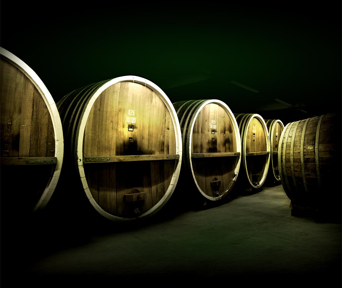 A row of large wooden wine barrels lined up in a dark cellar, with warm light illuminating the wood grain on the barrel fronts.
