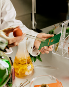 Persona che tiene una bottiglia di liquido giallo con una carta profumata verde, circondata da oggetti da laboratorio.
